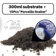 [Rept Reptiles] 🔥Ready Stock🔥 Ready Made 300ml ISOPOD Substrate / soil / Porcellio Scaber / Cleaning