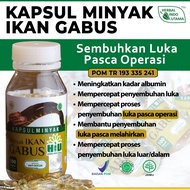 Kapsul Minyak Ikan Gabus Albumin Sari Kutuk Alami Mempercepat Sembuhkan Luka Pasca Operasi Luka Susah Kering Luka Setelah Sunat Herbal Indo Utama isi 100 Kaps