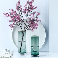 Xingxuan Simple Gold-Painted Glass Vase Water Cultivation Lucky Bamboo Lily Glass Transparent Vase Living Room Table Dec
