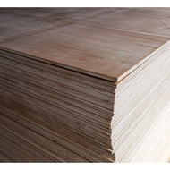 PLYWOOD 12MM X 1 FT X 2 FT PAPAN WOOD PANEL
