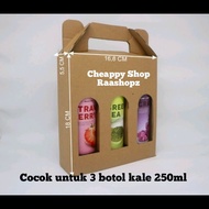 Kale Bottle Box Box 3 Bottles Kale 250ml Carrying Box Kale Bottle Carrying Box Kale Bottle Christmas