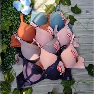 Underwire Bra Cup/ /a size 34 36 38 40 real picture/