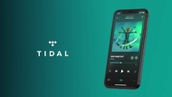 Tidal HiFi Plus (Family) 夾plan $144半年