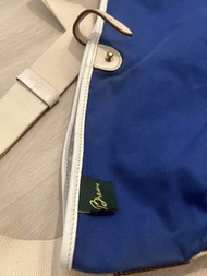 Brady camera tote Bag