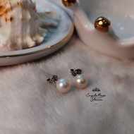 Ready Stock Genuine Gemstone Akoya Pearl Earrings 7mm S925 天然顶级日本珍珠耳钉