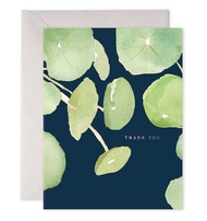 E. FRANCES感謝卡/ Pancake Plant Thank You深藍底鏡面草