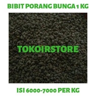 Bibit Biji Bunga Porang Isi 6.000 Sampai 8.000 Per Kg Bibit Biji Bunga