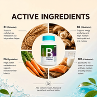 9YOUNG-BASIC Vitamin B Complex 复合维生素B族维他命群高含量缓解疲劳提升免疫力营养补充