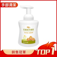 禾護 抗菌潔手慕斯 (280ml/瓶)【杏一】