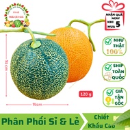 Fake Melon 120g, 14x14cm Vietnamese Model Thai Technology 99% Realistic Used for Decoration