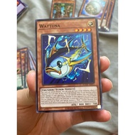Wattuna - Common AE - AGOV-AE015