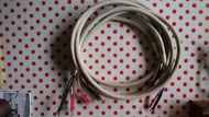 Prism bi-wire speaker cable 8”尺長