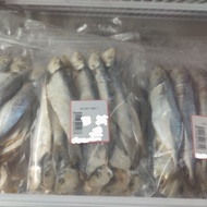 (360G) IKAN MASIN TAMBAN CC - tw kuantan