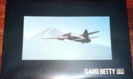 全新未組 HASEGAWA 1/72 MITSUBISHI G4M1 一式陸攻+櫻花攻擊機