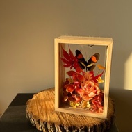 擷取天空。情人節紀念日禮物/永生蝴蝶標本/喬遷開幕禮/多色