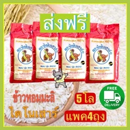 ส่งฟรี ข้าวหอมมะลิปี 67 ไดโนเสาร์ถุง5กก.4ถุง