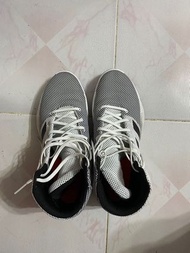 Adidas Pro Bounce