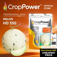 (500 SEEDS) Biji Benih Tembikai Susu Sweet Dalmation 蜜斑 HD550 CROP POWER Honey dew seeds 蜜瓜种子 HD 550