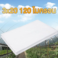 【จัดส่งที่รวดเร็ว】พลาสติกคลุมโรงเรือน พลาสติกPE (เกรด A) หนา 200/150/120 ไมครอน UV7% เหมาะสำหรับงานก