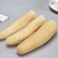 Natural Loofah Sponge | Whole Piece Luffa Scrubber