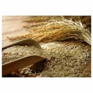 ✻ ⭐ ♨ DARAK (RICE BRAN) CLASS-A| FOOD GRADE|FINE-TEXTURED