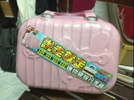 14吋 手提行李箱 行李箱 手提旅行箱 收納箱 迷你行李箱 化妝包 小巧 可愛 硬殼 手提包 登機箱 兔子 粉紅色