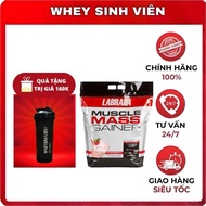 Food supplement with 84g protein Muscle Mass Gainer 12Lbs at WheySinhVienVn 2