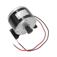 My1016 Lingying Little Dolphin Electric Vehicle Motor 24V300w535 Belt Synchronous With Brush Motor