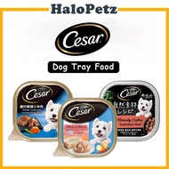 Cesar Wet Dog Tray Food (85g / 100g)