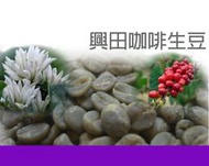 翡翠莊園 鑽石山 水洗 巴拿馬 波奎特【每包500公克】【興田咖啡生豆】