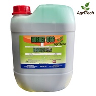 Hornet 566 20L/Herbicide/Racun Rumpai/Racun Sentuh/Sama dgn Rainpat/Erata/Kenpat/READY STOCK
