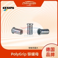 Gesipa Rivet nut Gesipa Rivet Nut Stainless Steel Rivet Nut Flat Rivet Nut Gesipa rivet nut blind ri