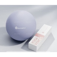 Pilates Yoga Small Ball 25cm - Shaping-Specific Exercise Ball for Core Balance Posture Soft Mini Fit