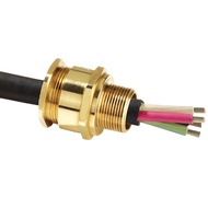 CMP A2F Exd Exe Cable Gland c/w Locknut, Nylon Washer & PVC Shroud