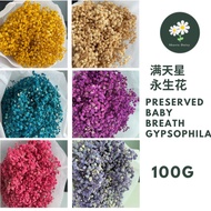 ‼️Premium High Quality‼️ 100g Preserved Baby Breath Gypsophila Dried Dry Bouquet Flower Bunga Hiasan