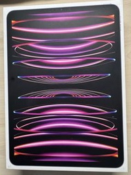 Apple iPad Pro 11吋 (第4代) 1TB, WiFi+流動網絡