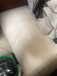 Hola枕頭