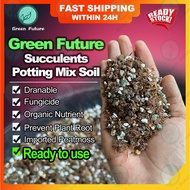 【READY TO USE】SUCCULENT Potting mix Mix / Cactus Succulent Mix Soil tanah kaktus  kaktus 多肉专用土 颗粒土  多肉懒人土 仙人掌懒人土 多肉仙专用配土