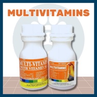 [CARE AGRIVET] Arvet MultiVitamins with B12 for Dog Cat Chicken Pigeon