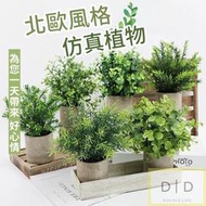 【台灣現貨】北歐風格仿真植物 仿真植物盆栽  桌面仿真植物 小盆栽 尤加利 芙蓉菊 室內盆栽 植物擺飾 居家植物擺飾