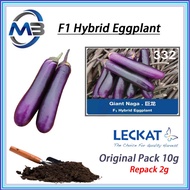 Leckat F1 Terong Panjang Giant Naga 332 Long Eggplant 10gm +-1500 biji per pack