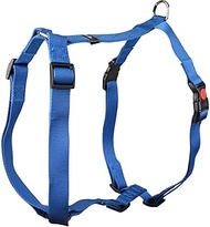 Flamingo Pet Products - Harness H Ziggi Blue, Neck Circumference 70-110 cm, 25 mm, Size XXL+ for Dog