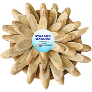 Astragalus Root Astragalus Root