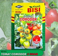benih tomat hibrida comodor F1 5 gr