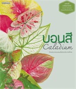 บอนสี Caladium