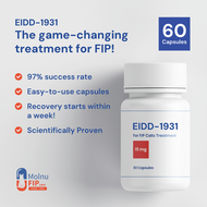 EIDD-1931 60 capsules Effective FIP cure For Fever Weight Loss Red Eye Difficulty Breathing Abdomina