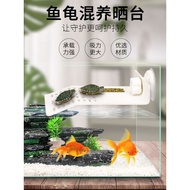 *Ready Stock* Turtle Tortoise Platform Stage 乌龟爬台