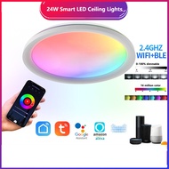 Tuya Led Ceiling Light24W High Brightness Smart WiFi Bluetooth Smart Downlight 2.4G Remote Control R