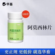 Amoxicillin Pet Medicine Cat Dog Cough Sneezing Runny Nose Cold Nasal Conjunctivitis Antibiotic Tabl