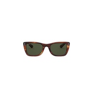 [RayBan] Sunglasses 0RB2248 Caribbean Men's 954/31 G-15 Green 52